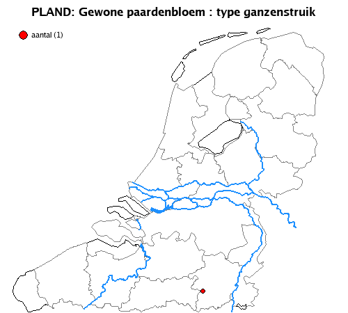 ganzenstruik